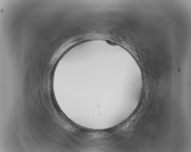 X0000086000103200704201841