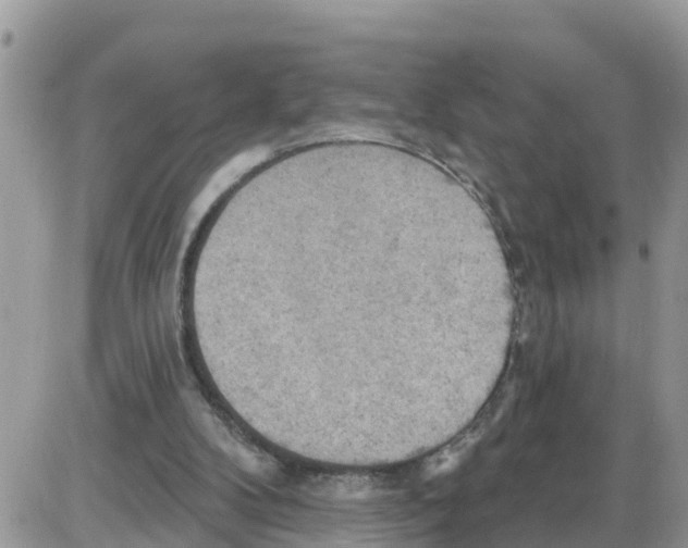 X0000086000104200704201841