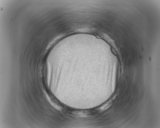 X0000086000106200704201841