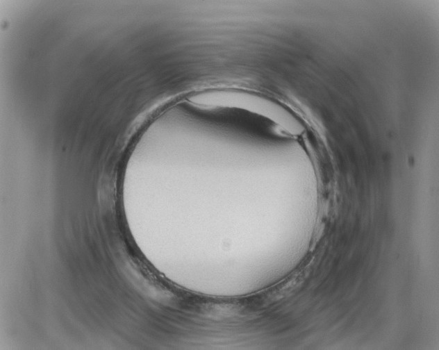 X0000086000107200704201841