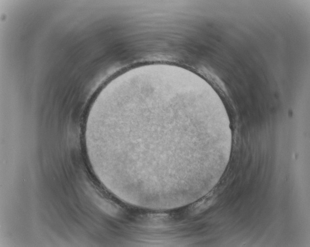 X0000086000108200704201841