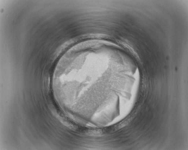 X0000086000110200704201841