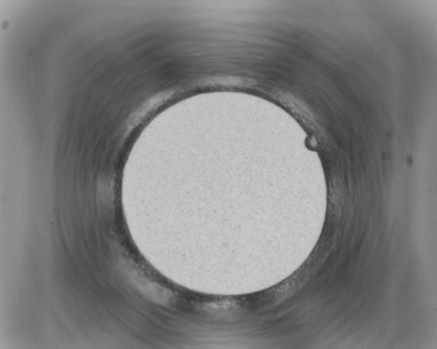 X0000086000112200704201841