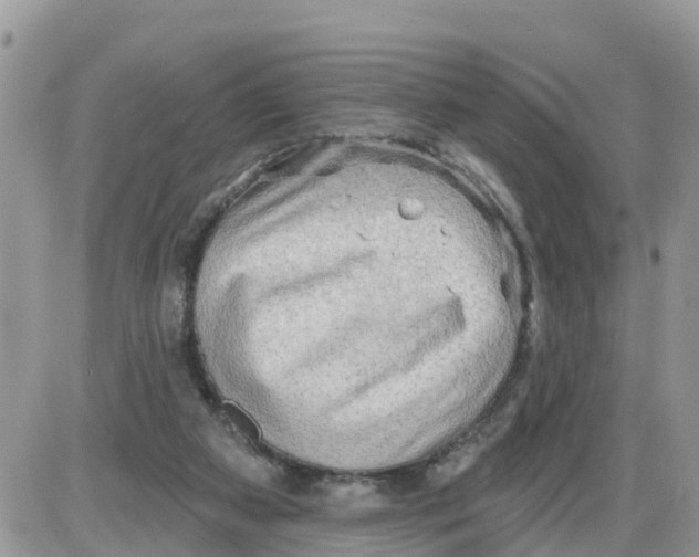 X0000086000113200704201841