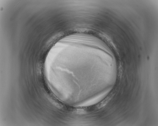 X0000086000114200704201841