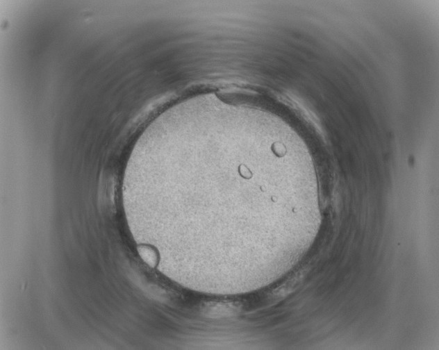 X0000086000115200704201841