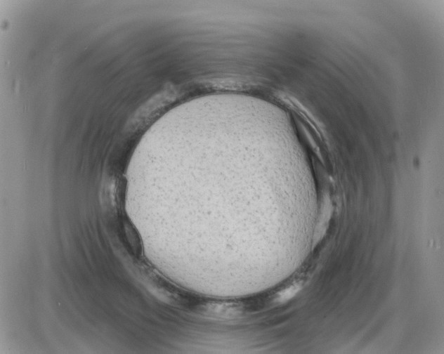 X0000086000117200704201841