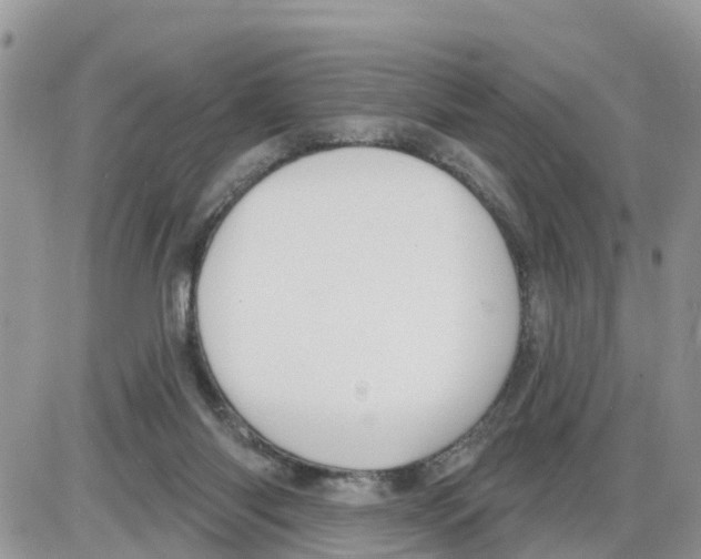 X0000086000118200704201841