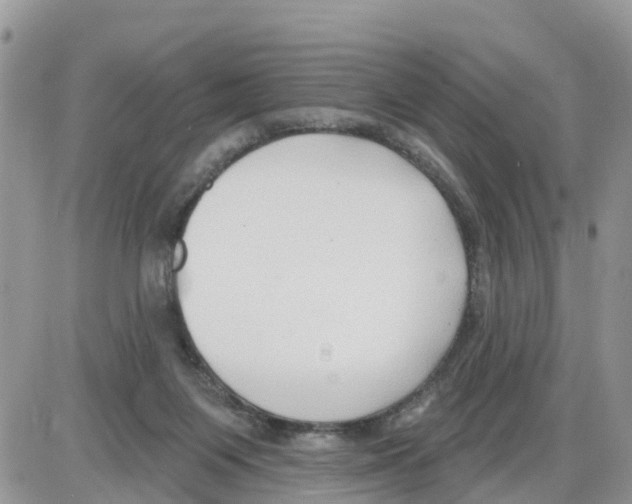 X0000086000119200704201841