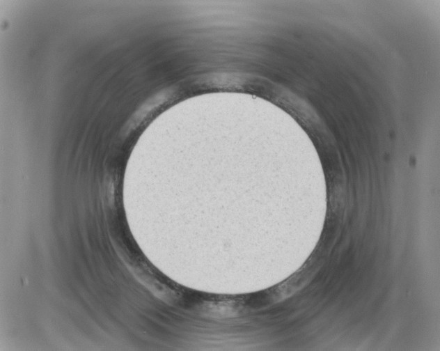 X0000086000120200704201841