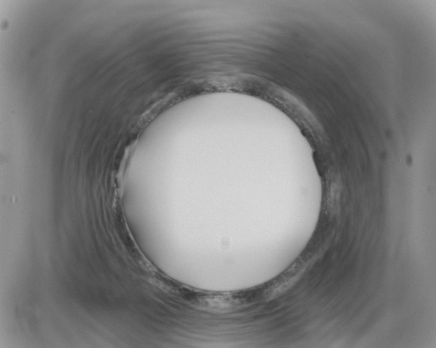 X0000086000121200704201841