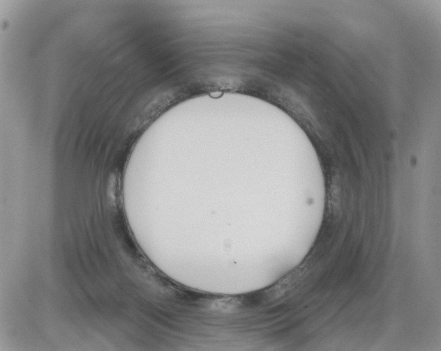 X0000086000122200704201841