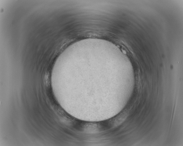 X0000086000123200704201841