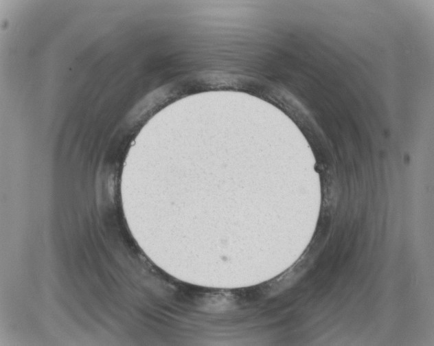 X0000086000124200704201841