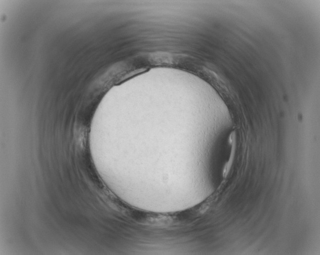 X0000086000125200704201841