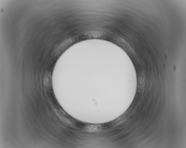 X0000086000126200704201841