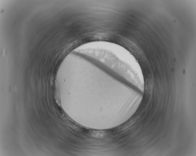 X0000086000127200704201841