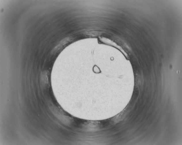 X0000086000128200704201841