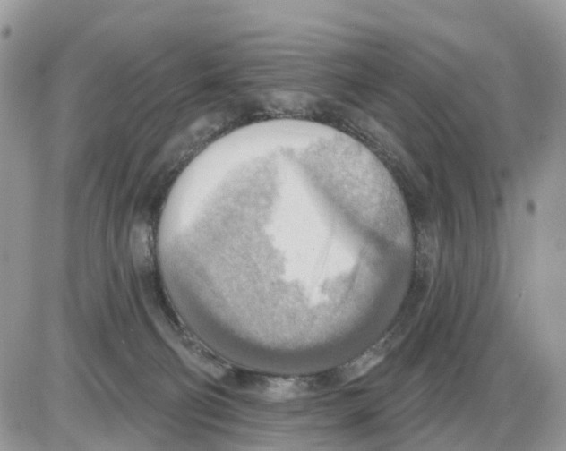 X0000086000130200704201841