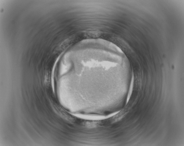 X0000086000134200704201841