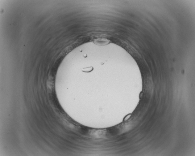 X0000086000135200704201841