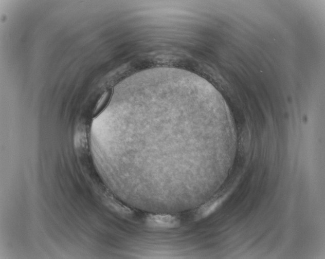 X0000086000137200704201841