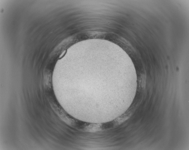 X0000086000138200704201841