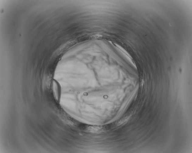 X0000086000139200704201841