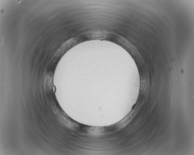 X0000086000142200704201841