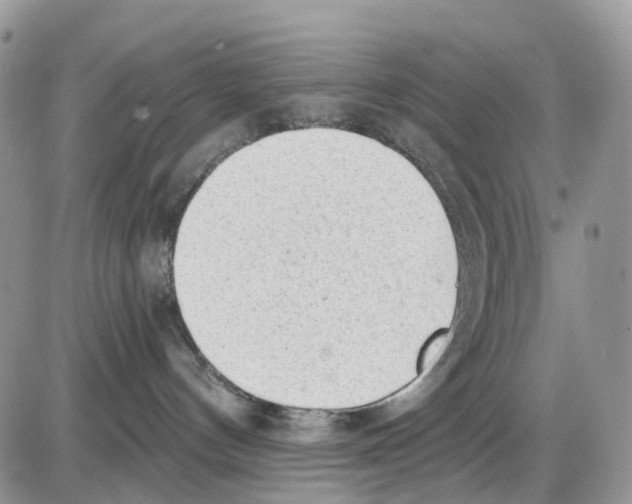 X0000086000144200704201840