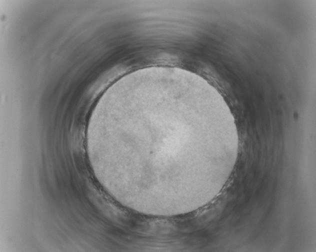 X0000086000146200704201840