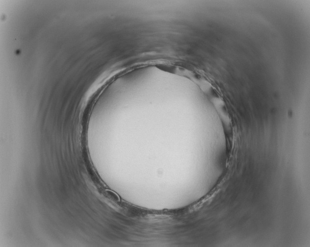 X0000086000150200704201840