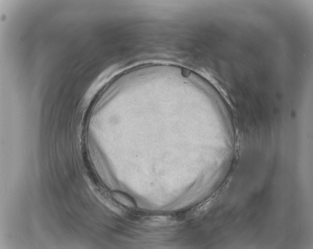 X0000086000151200704201840