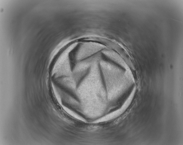 X0000086000152200704201840