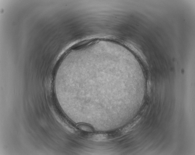 X0000086000156200704201840