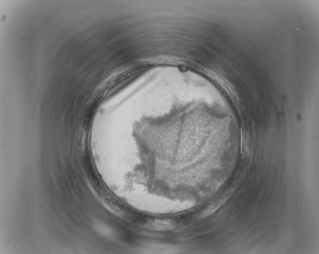 X0000086000157200704201840