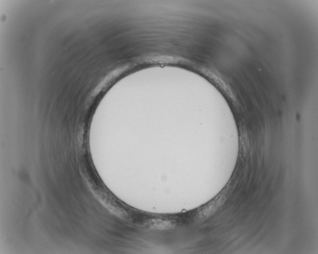 X0000086000159200704201840