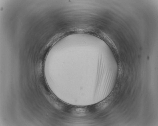 X0000086000163200704201840