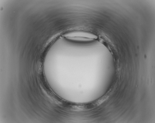 X0000086000164200704201840