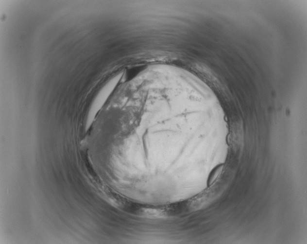 X0000086000167200704201840