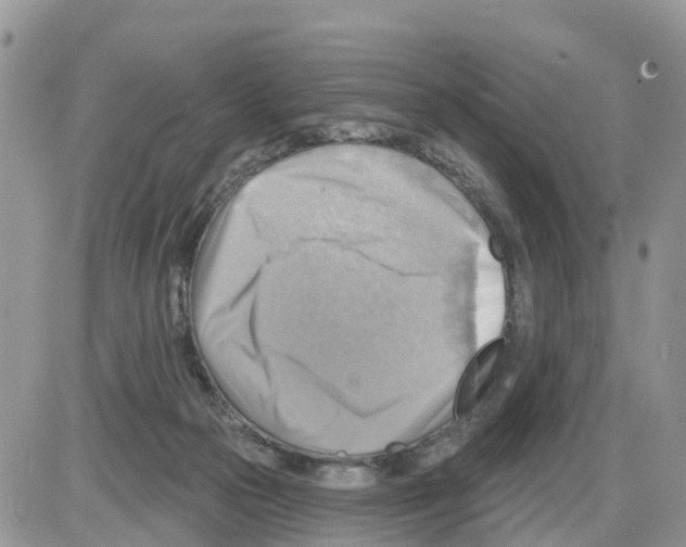 X0000086000169200704201840