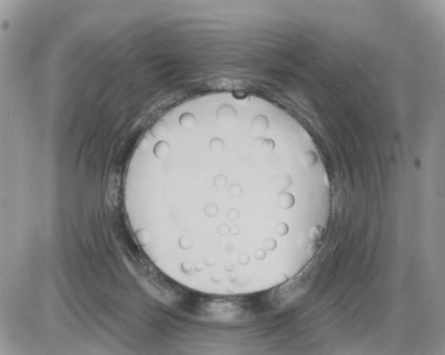 X0000086000171200704201840