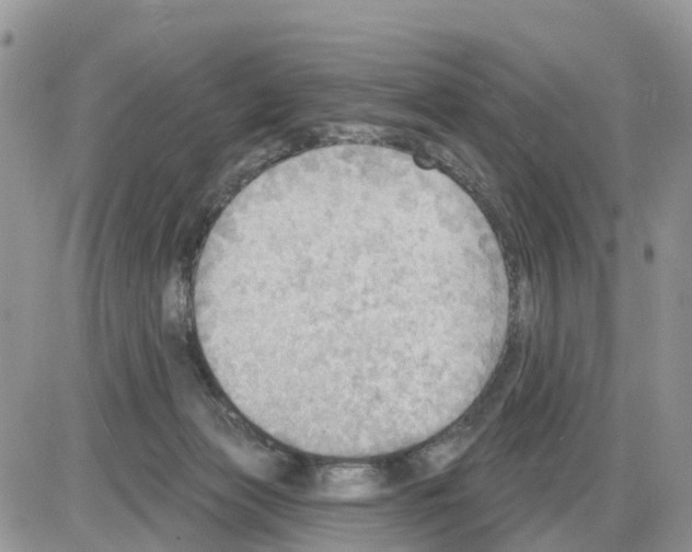 X0000086000173200704201840