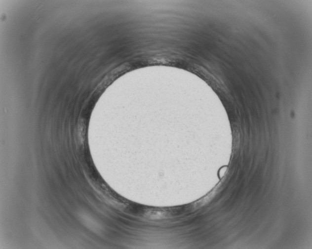 X0000086000174200704201840