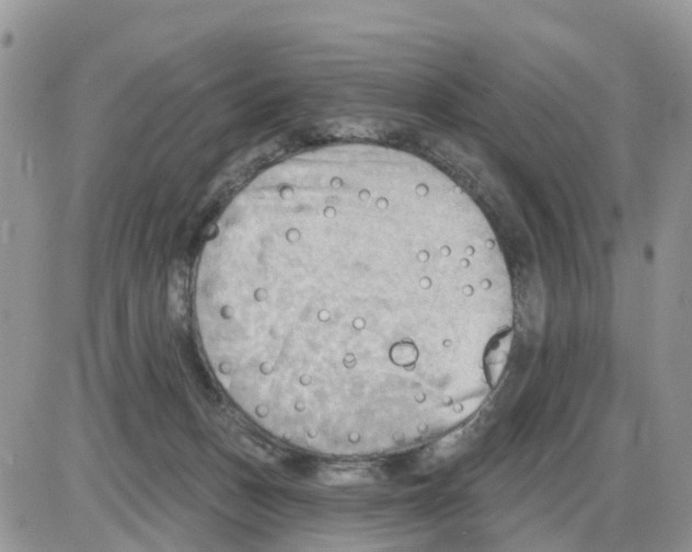 X0000086000175200704201840