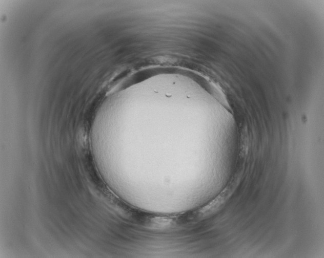 X0000086000176200704201840