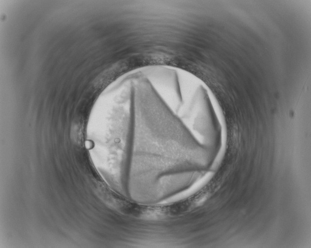 X0000086000177200704201840