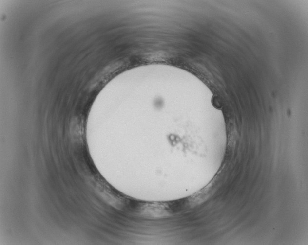 X0000086000179200704201840