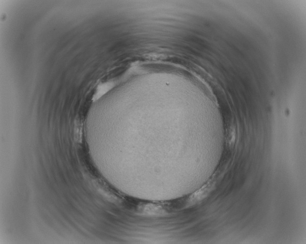 X0000086000180200704201840