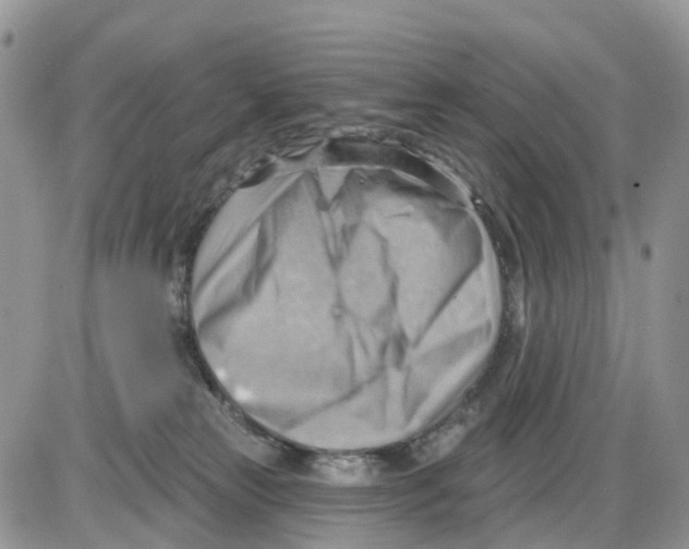 X0000086000181200704201840